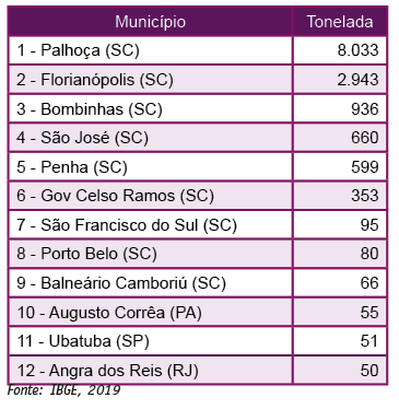 Tabela 11. Ranking dos 12 municípios brasileiros que mais produziram moluscos em 2018
