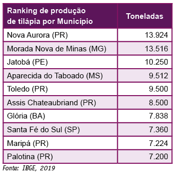Tabela 6. Ranking dos municípios que mais produziram tilápias no País em 2018