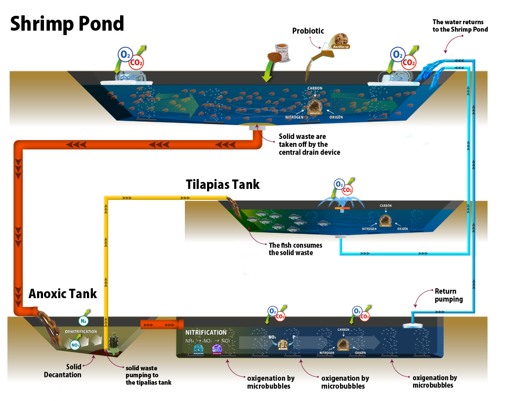 AquaScienceScheme