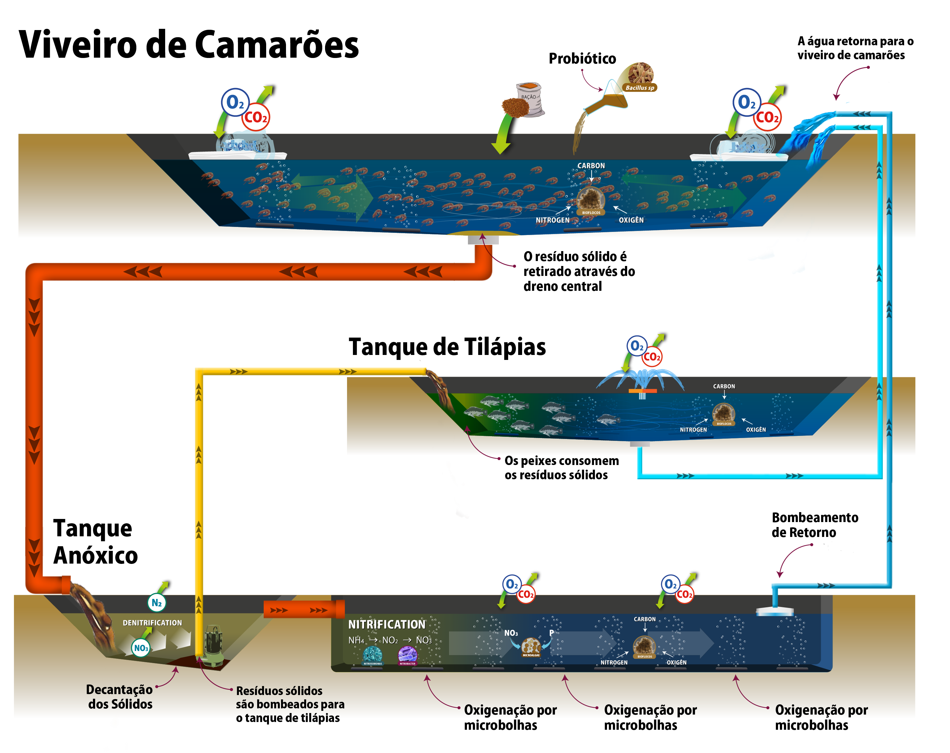 AquaScienceScheme