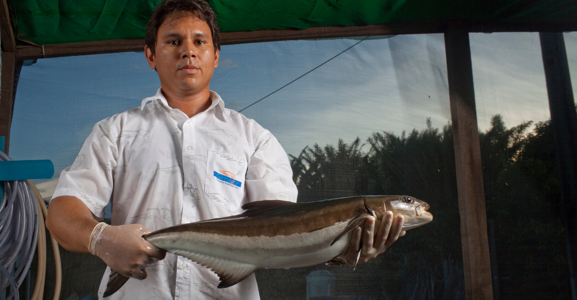 Núcleo de peixes da Camanor